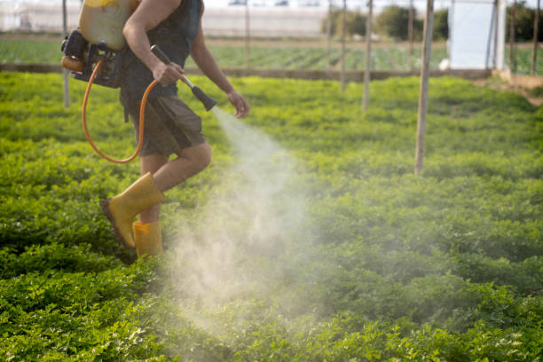 Best Pest Removal Services  in Utica, MI