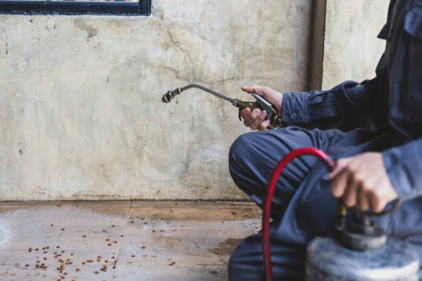Best Wasp Removal Services  in Utica, MI